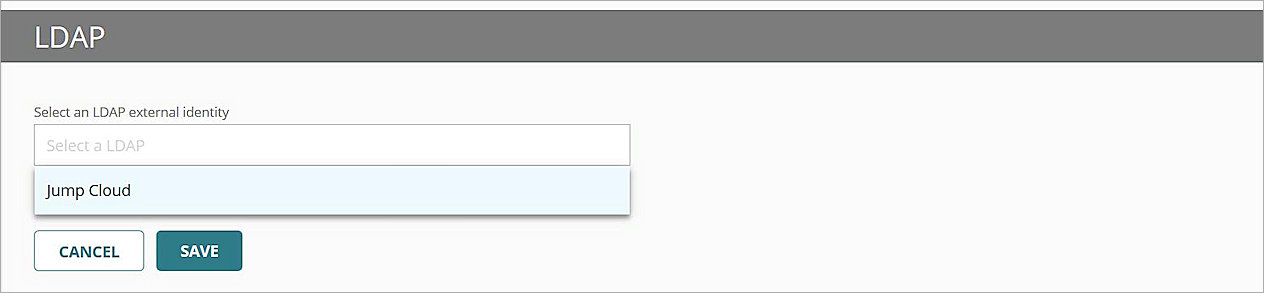 Screen shot of the LDAP external identity